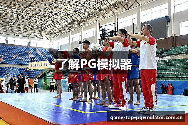 了解PG模拟器